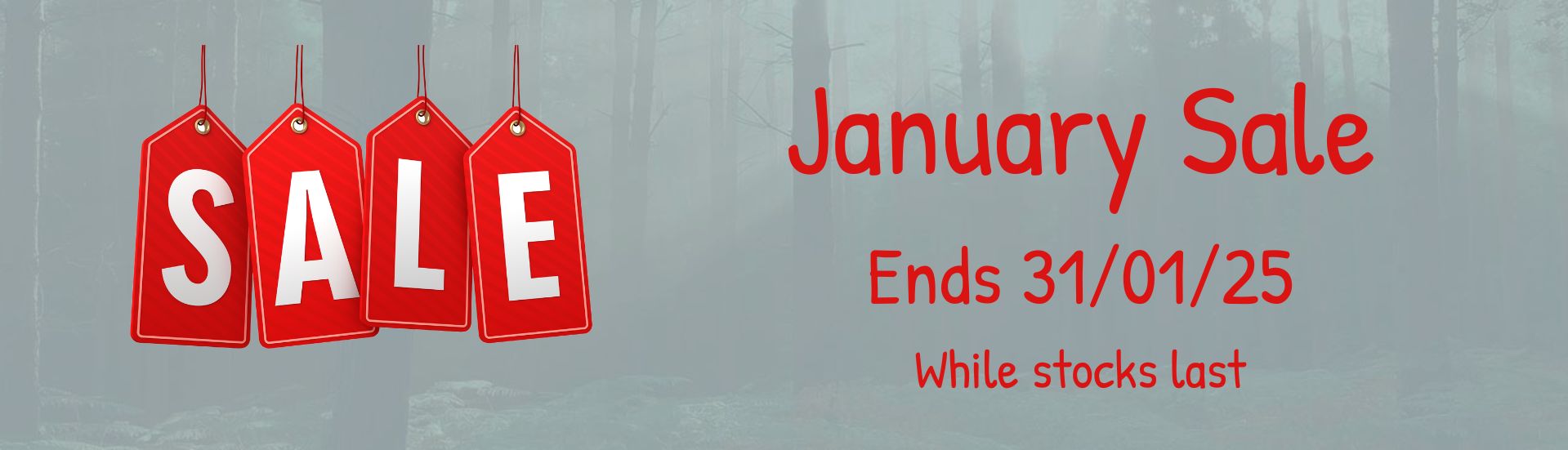 Image giving details of the January sale and its end date of 30th January 2025